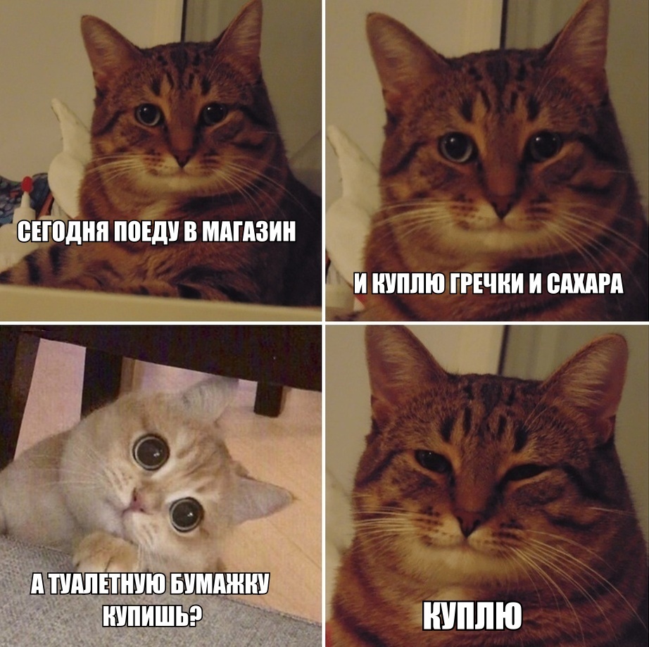 В свете последних событий