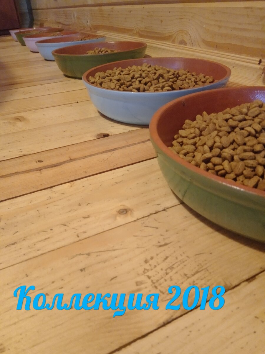 Первая партия, 2018 год