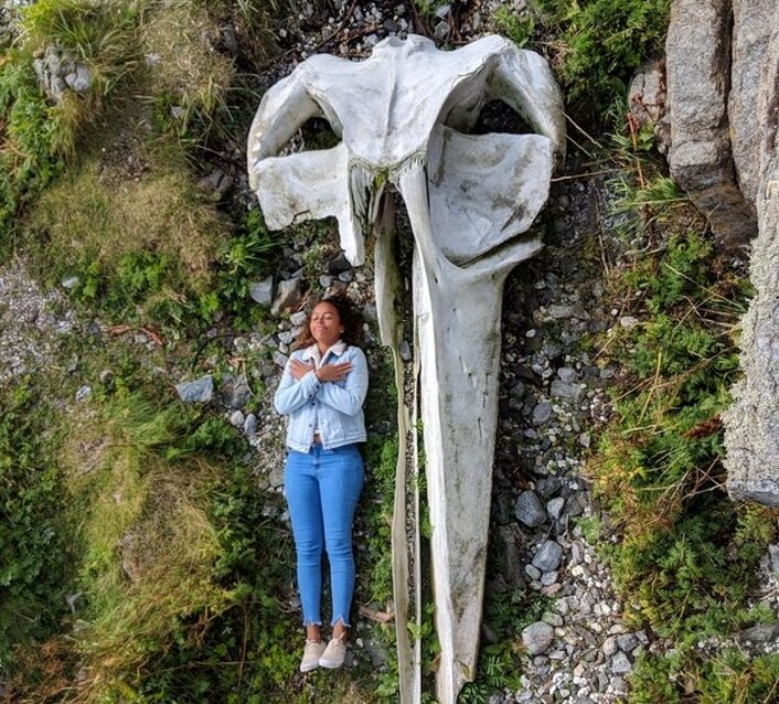 Источник: www.reddit.com