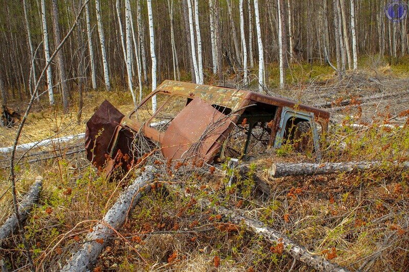 Забытый посреди тайги недостроенный советский радиоцентр космической связи