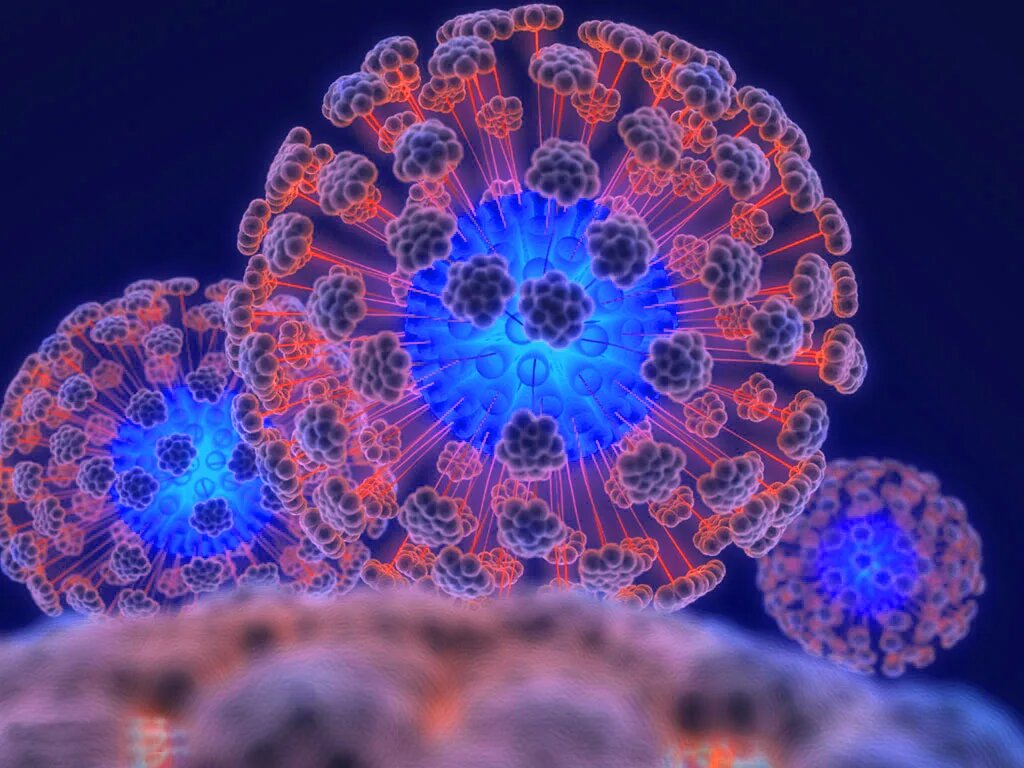 Нет, это не коронавирус