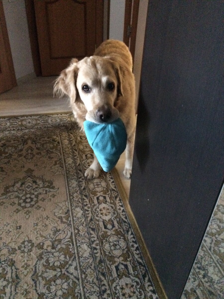 Гулять мы всегда готовы!