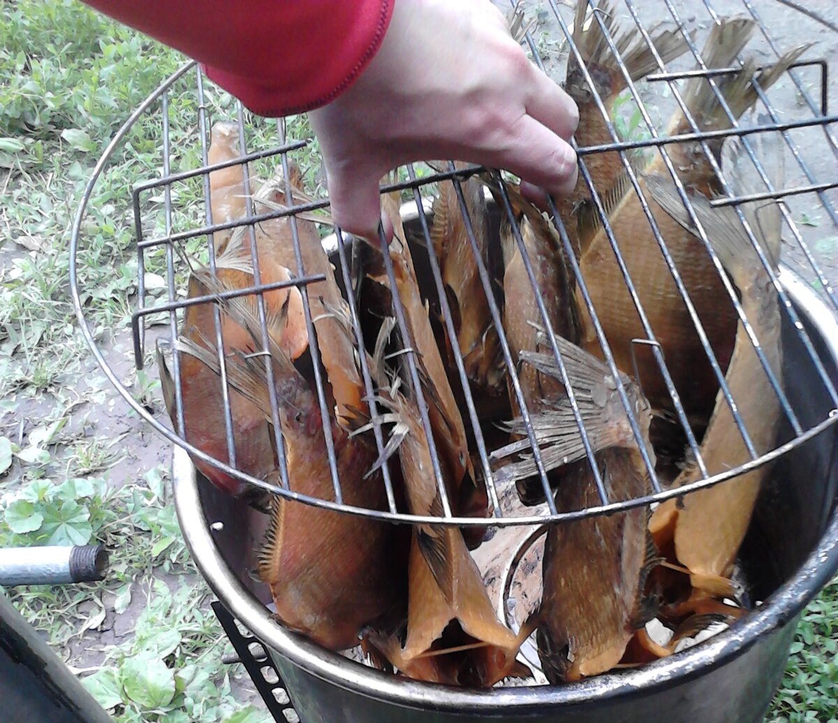 Мои копченные лещики.  https://vk.com/secretyrybolova. 