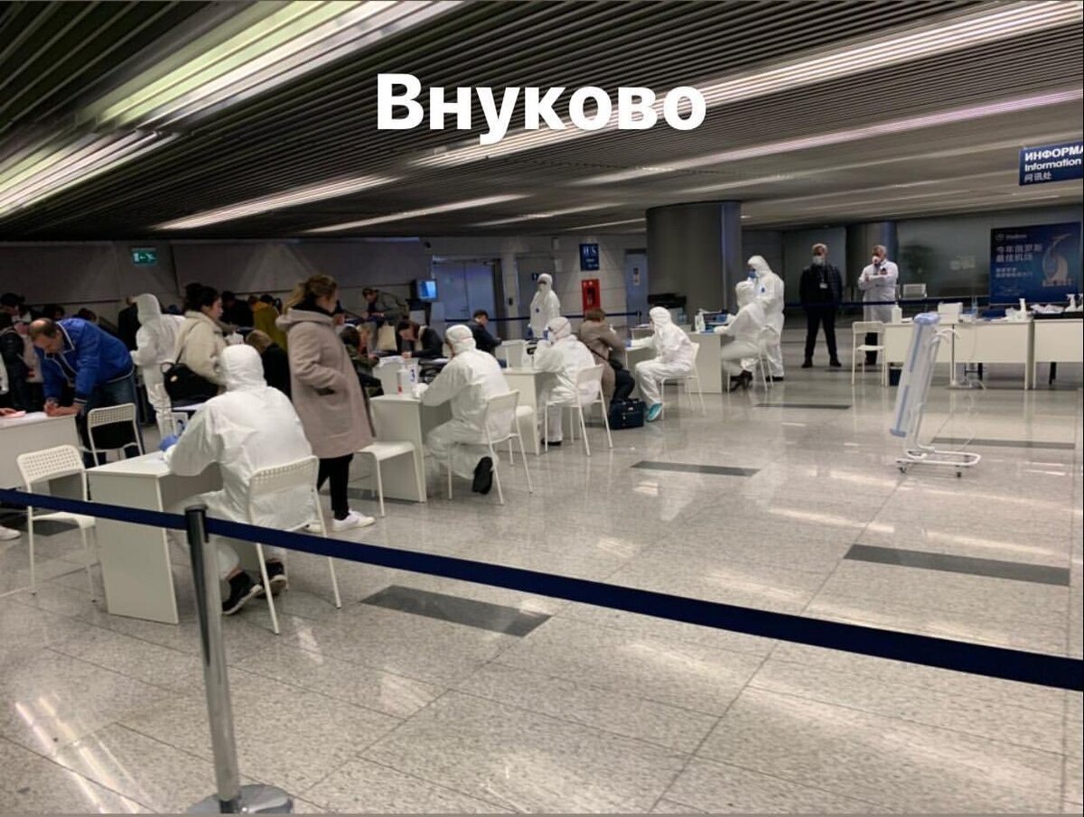 Встреча туристов в аэропорту Внуково - фото из открытых источников