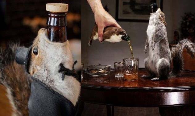 Самые дорогие сорта пива в мире

Brewdog - это шотландская крафтовая пивоварня. В 2010 году они произвели 55% алкогольного пива под названием «Конец истории». Это было пиво с высоким содержанием алкоголя, по цене 500-700 фунтов стерлингов.
Высокая цена обусловлена необычным контейнером для бутылки. Только 12 экземпляров были сделаны в первой серии, и каждый был подан в бутылке, стоящей в белке или горностае. Цена на бутылку зависела от размера чучела животного, в которое она попала. Те, кто пропустил первую партию, позже смогли купить бутылку, если присоединились к массовому финансированию пивоваренного завода. Те, кто вложил более 20 000 долларов, получили бесплатную бутылку «Конца истории».
