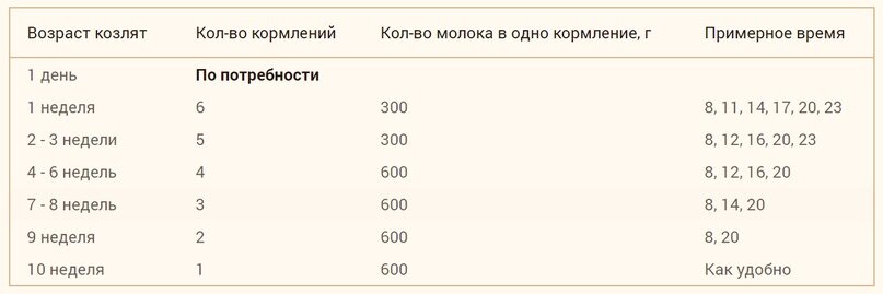 Из бутылочки или из чашки?Кормим козлят, из чего удобнее | Просто о деревне | Дзен