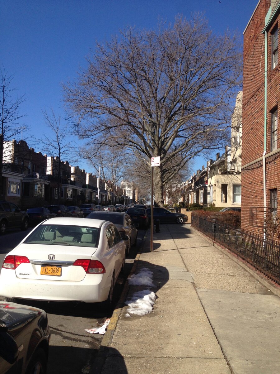 просто фото района возле отеля