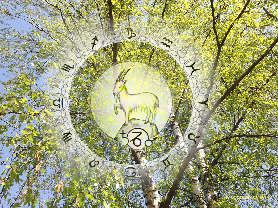 Коллаж Нины Стрелковой.