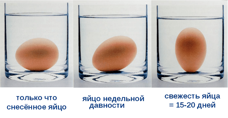 Как определить свежесть яиц в воде картинка