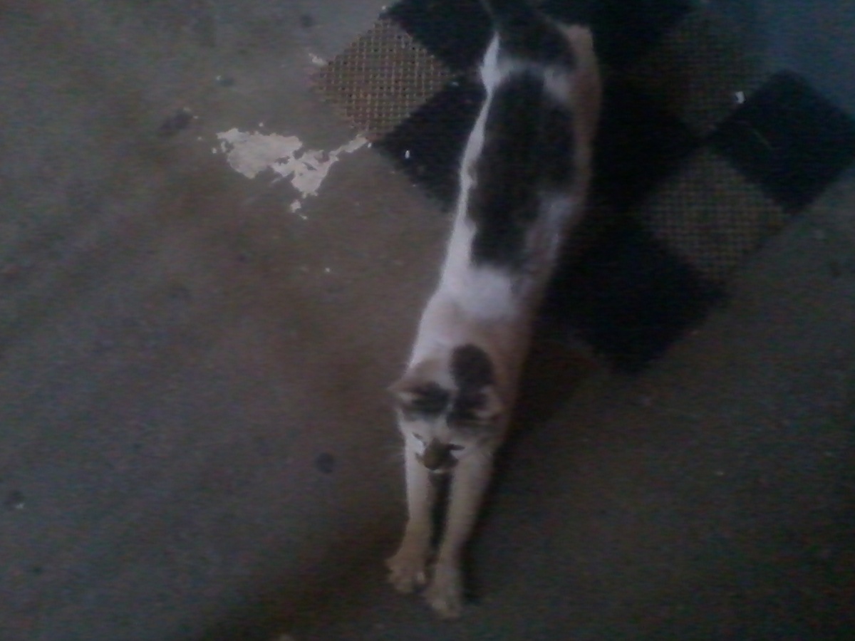 Так она тянулась когда встречала меня с работы