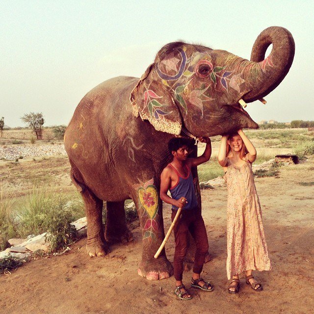 Я только сфотографировалась с этим прекрасным слоном