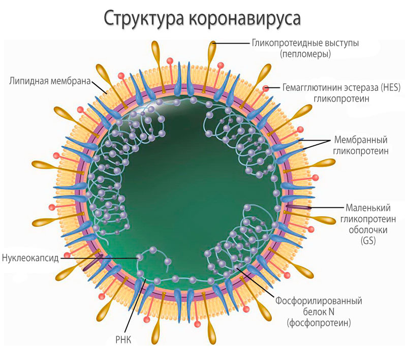 Фото взято из общего доступа