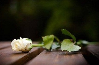 Тамара Коханская