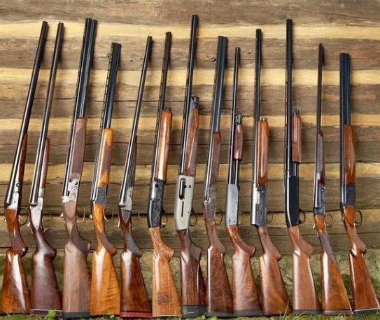 Из источников в свободном доступе