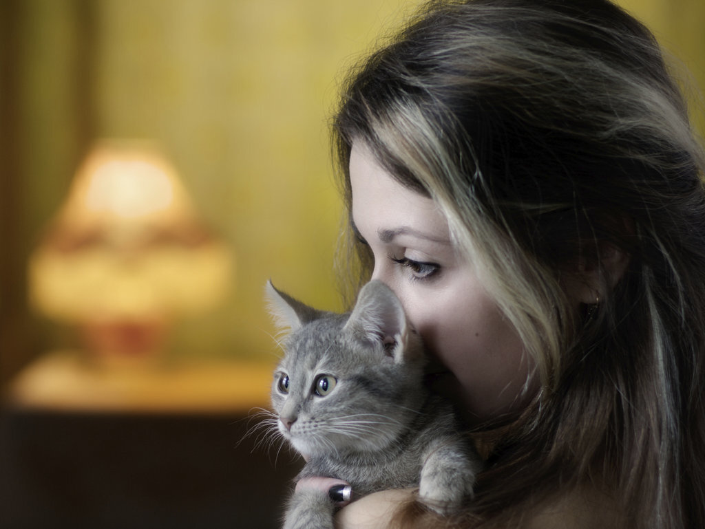 Yandex.ru