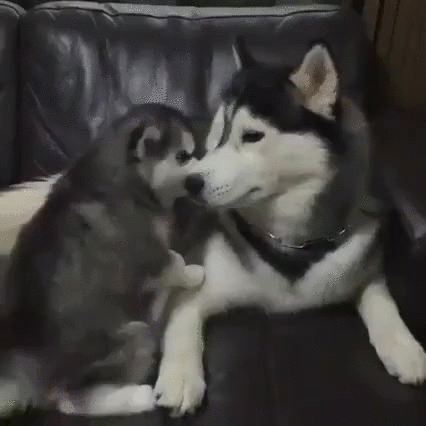 Дружелюбность как черта характера.