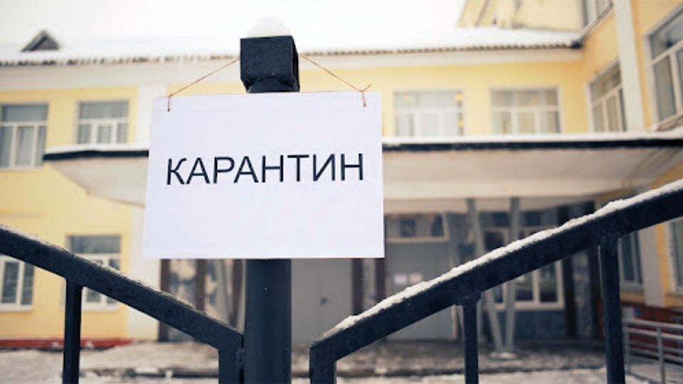 с простора интернета. поисковая система Яндекс
