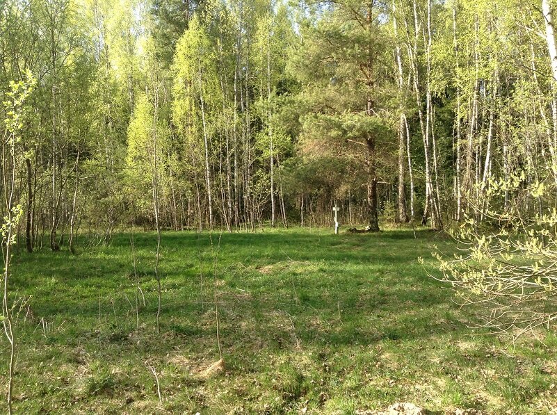 Здесь, под Акулово могила, где трое неизвестных похоронены 