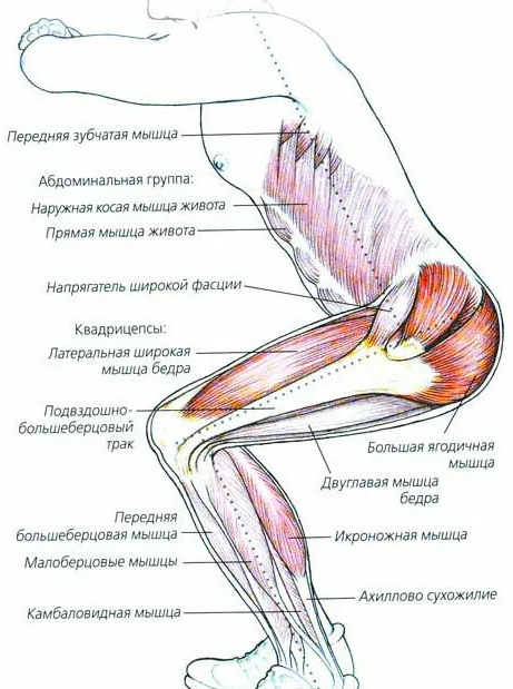 Два упражнения по 100 повторений путь к силе и долголетию. Отжимания и приседания для здоровья всего тела.