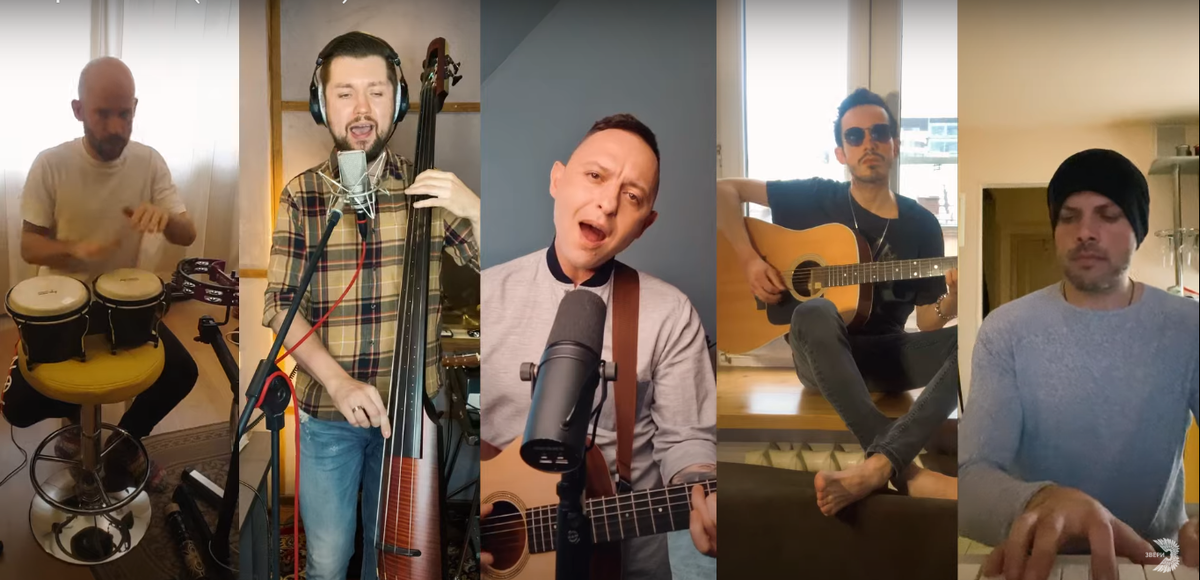 стоп-кадр с youtube.com / ЗВЕРИ