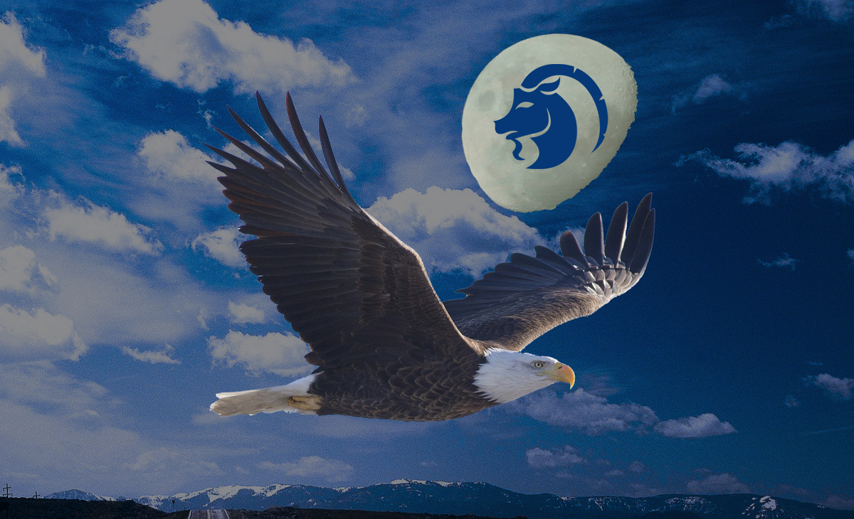 Луна в Козероге