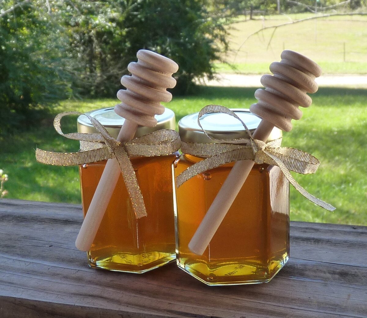 Фото из открытого источника