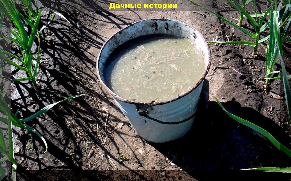 https://vk.com/photo-159774511_457243876