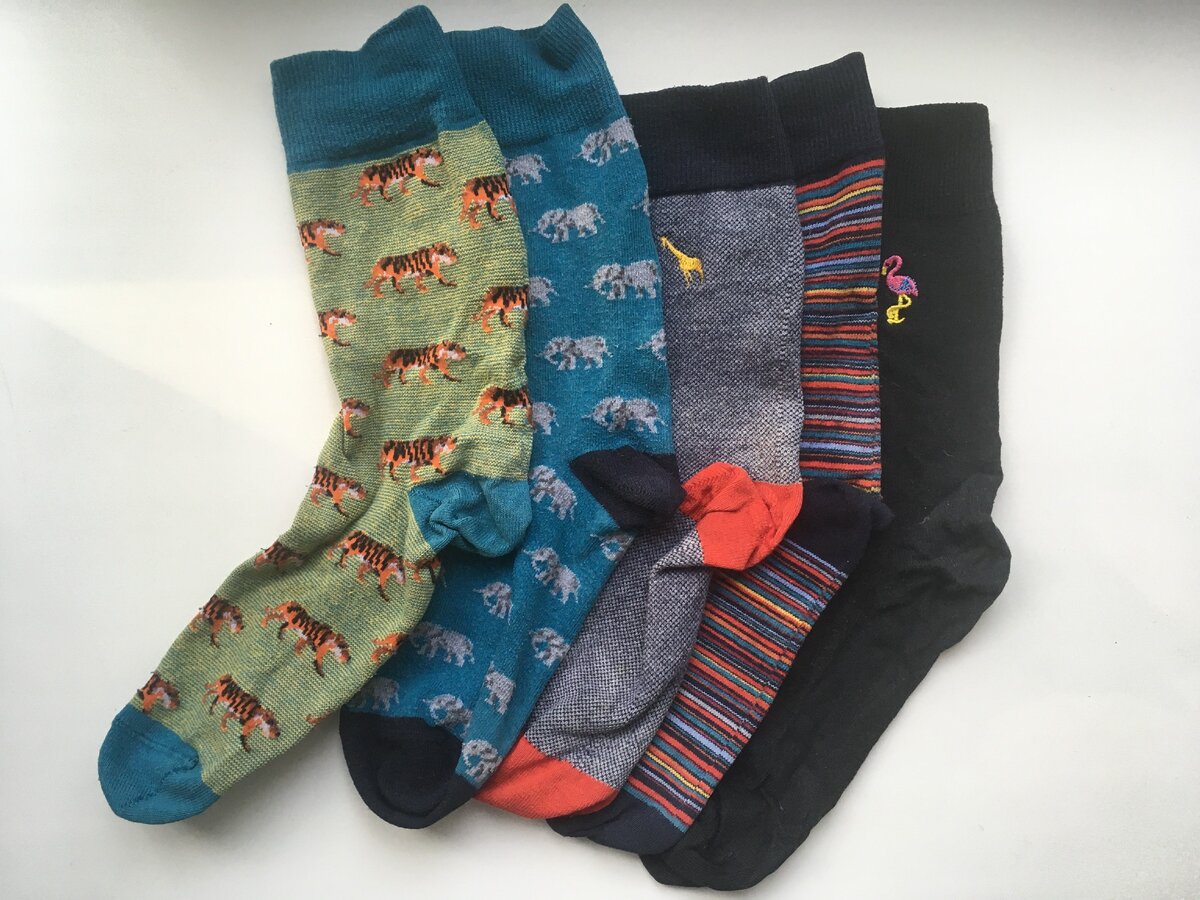 Носки с животными, им 1 год