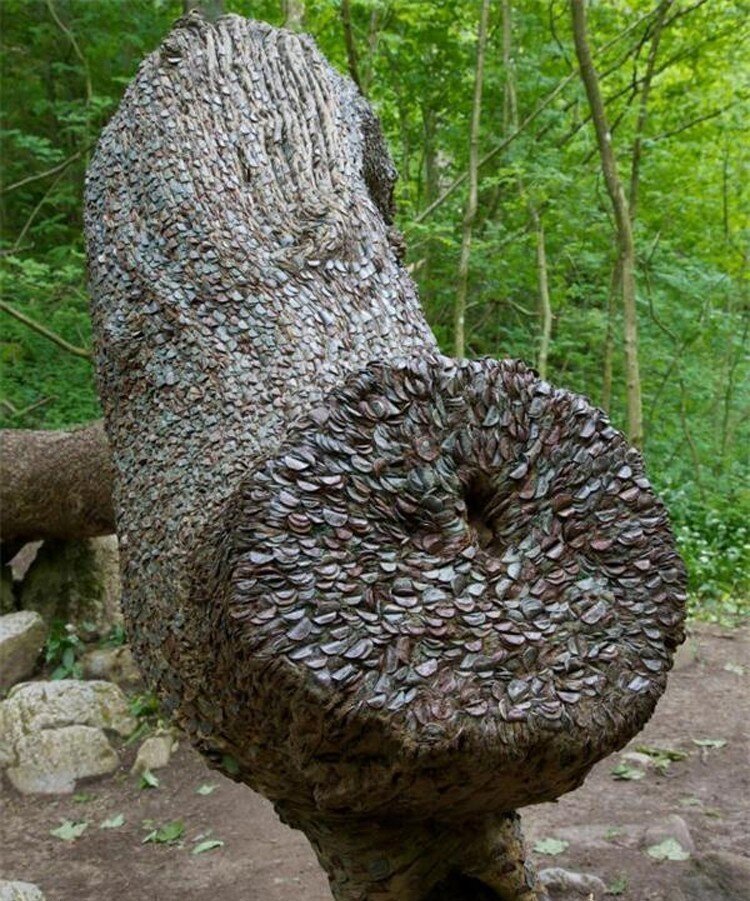 Фото из интернета