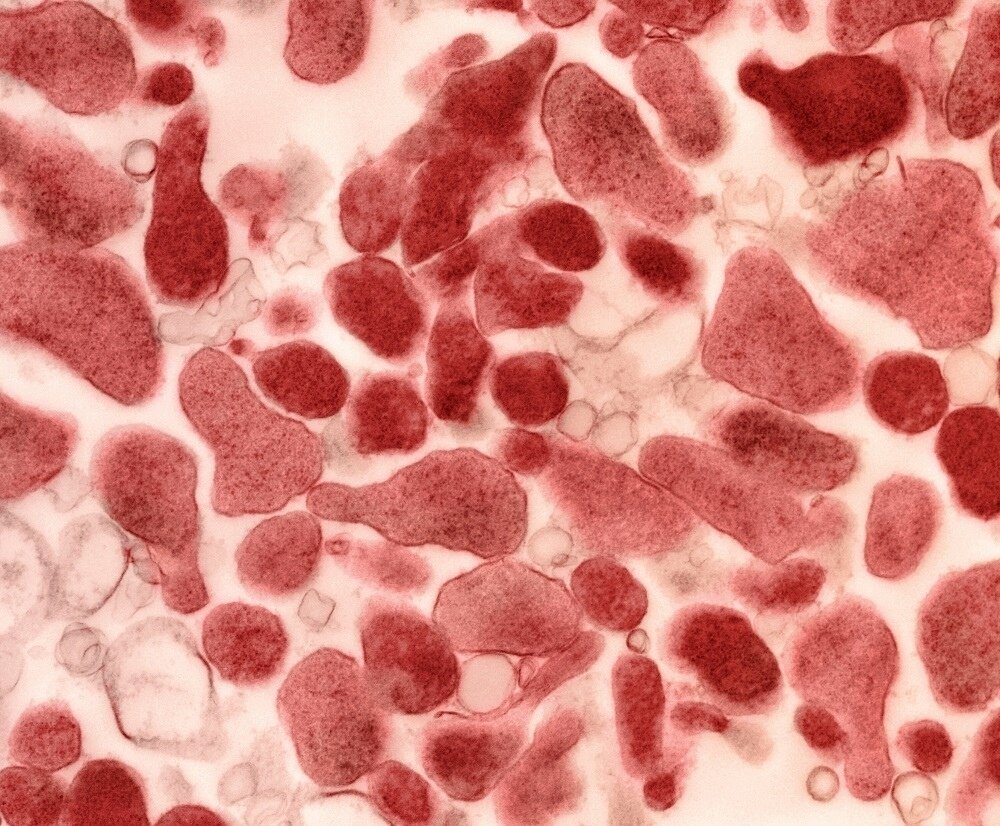 Сеть алкомаркетов "Красное и Белое"