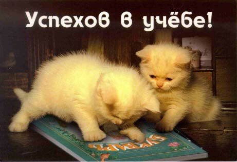 Проект Русь, это проект воссоздания первородной Руси, с которой начался путь нашей текущей земной человеческой цивилизации.