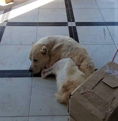 На базе отдыха