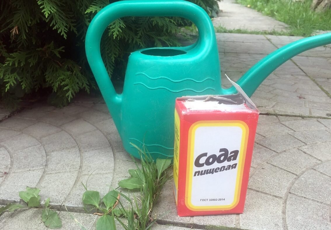 Мой главный помощник!