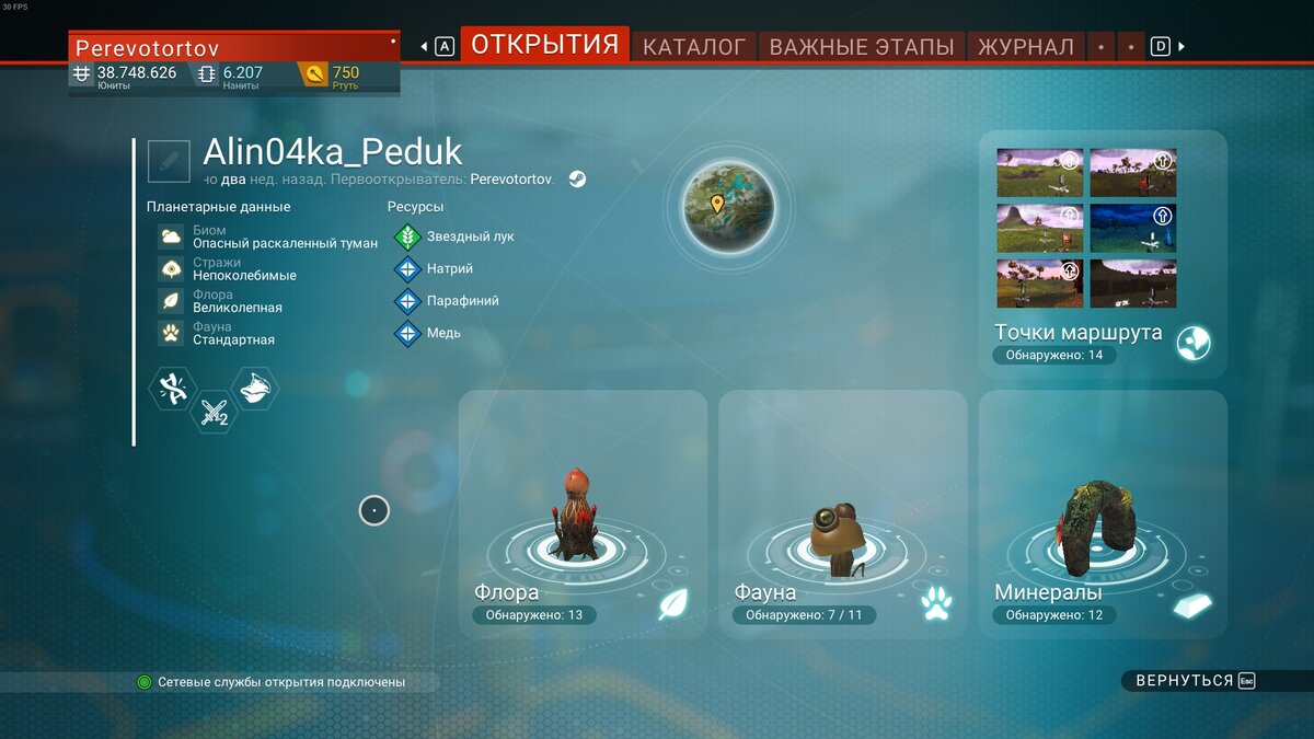 Рисунок 1 - Планета "Alin04ka_Peduk", райская планета.