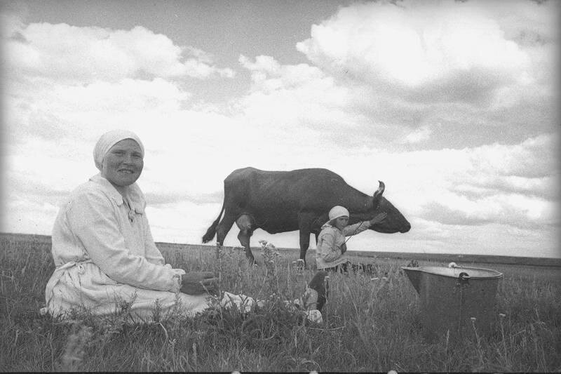 На выгуле (Доярки с коровой)
Владислав Микоша, 1938 год, Куйбышевская обл., МАММ/МДФ.