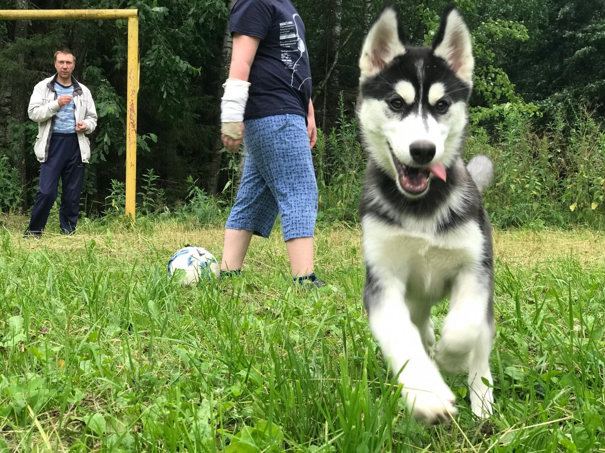 Лу'на любит играть с мячиком.