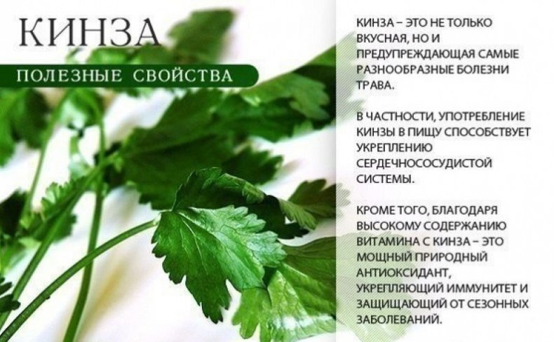 Фото взято из интернета;