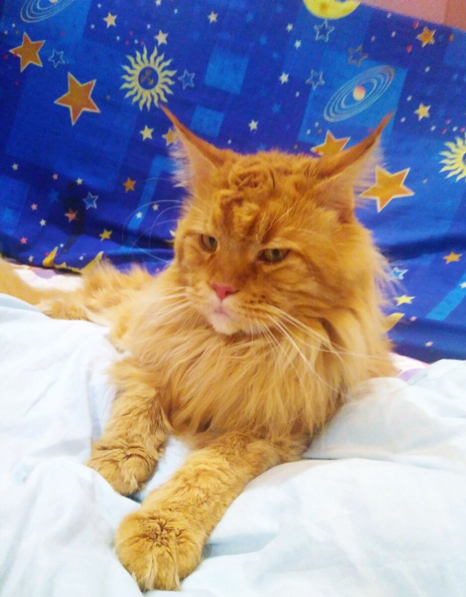 Весь помятый и больной