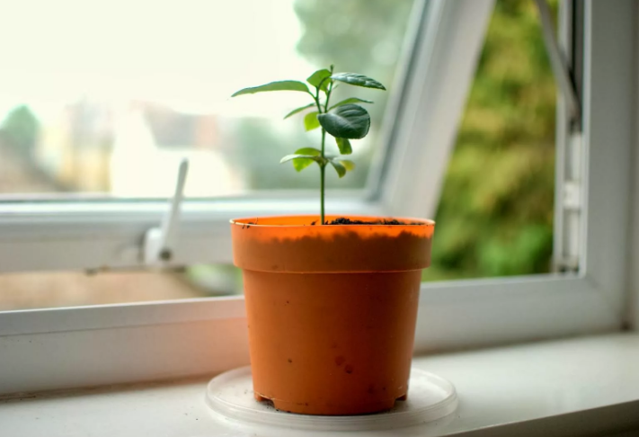 Фотография взята из источника yandex.ru