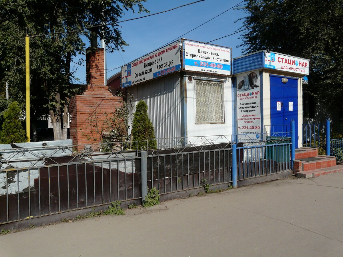 Стационар ЗооГуберния, Самара, Физкультурная 116а.  Фото моё. Договор в галерее. 