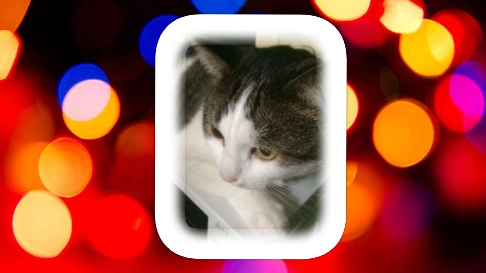 Стэн  Фото личное