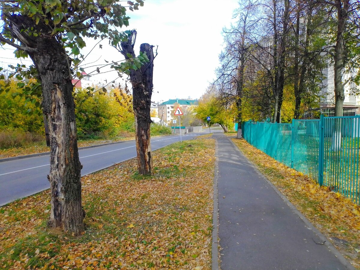 Раньше здесь было 10 тополей, осталось 2