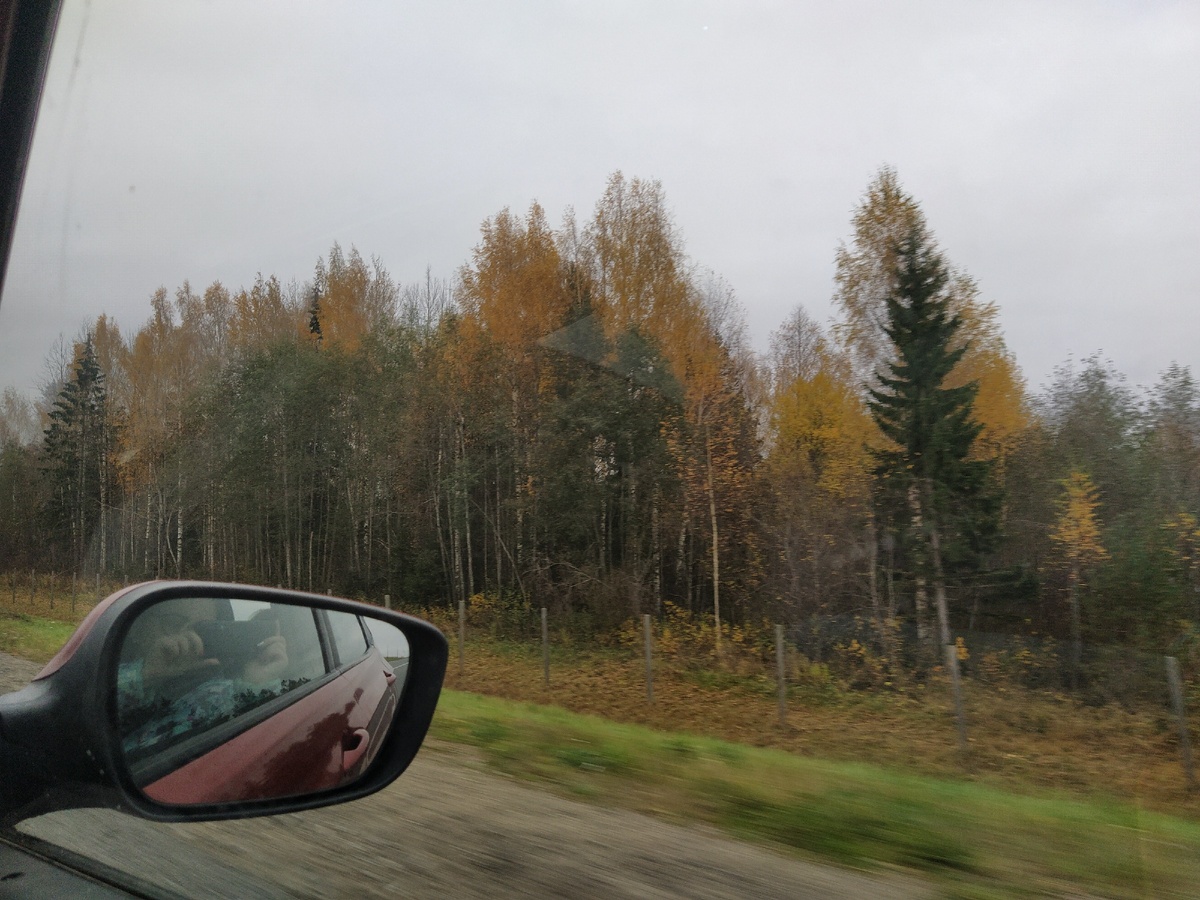 Дорога домой