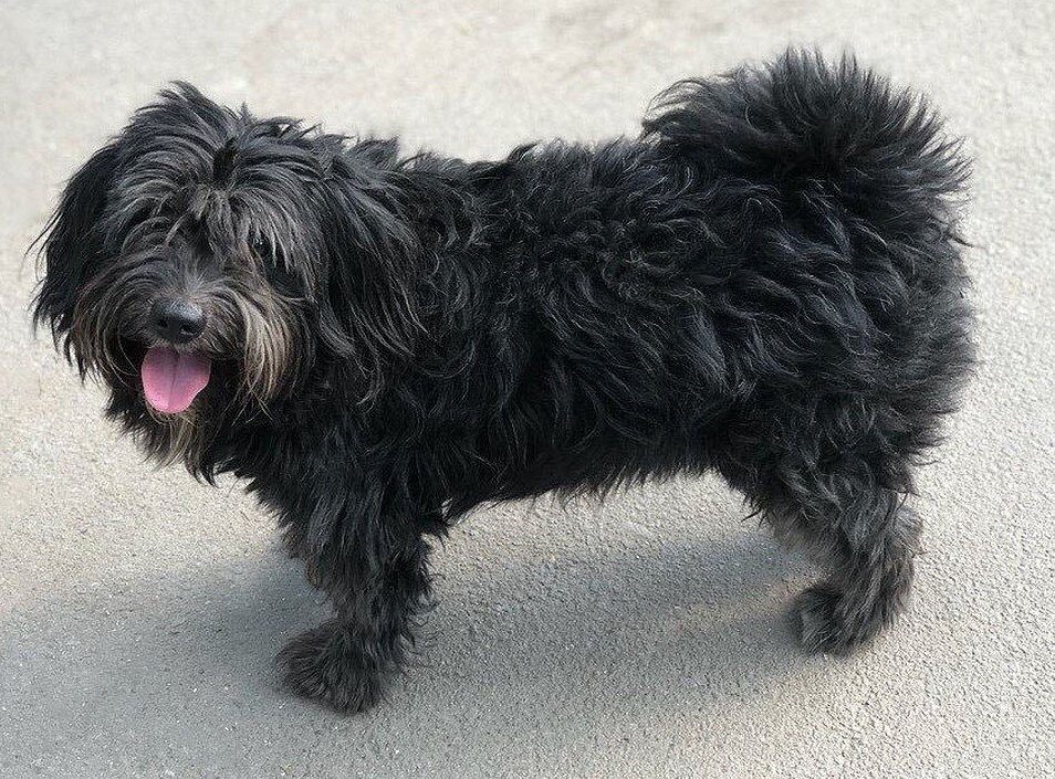 Фото из Яндекса