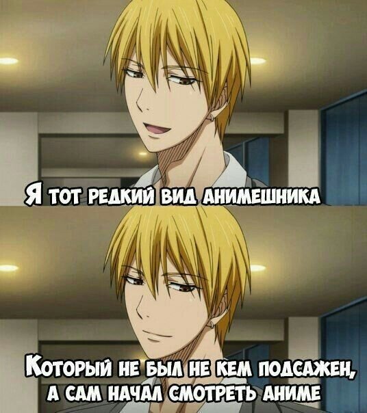 А как вы начали смотреть аниме?