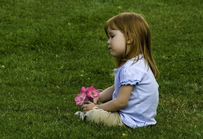 Источник фото: pixabay