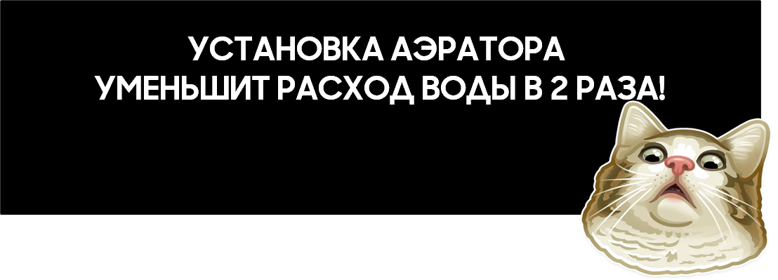 Котик тоже в шоке!