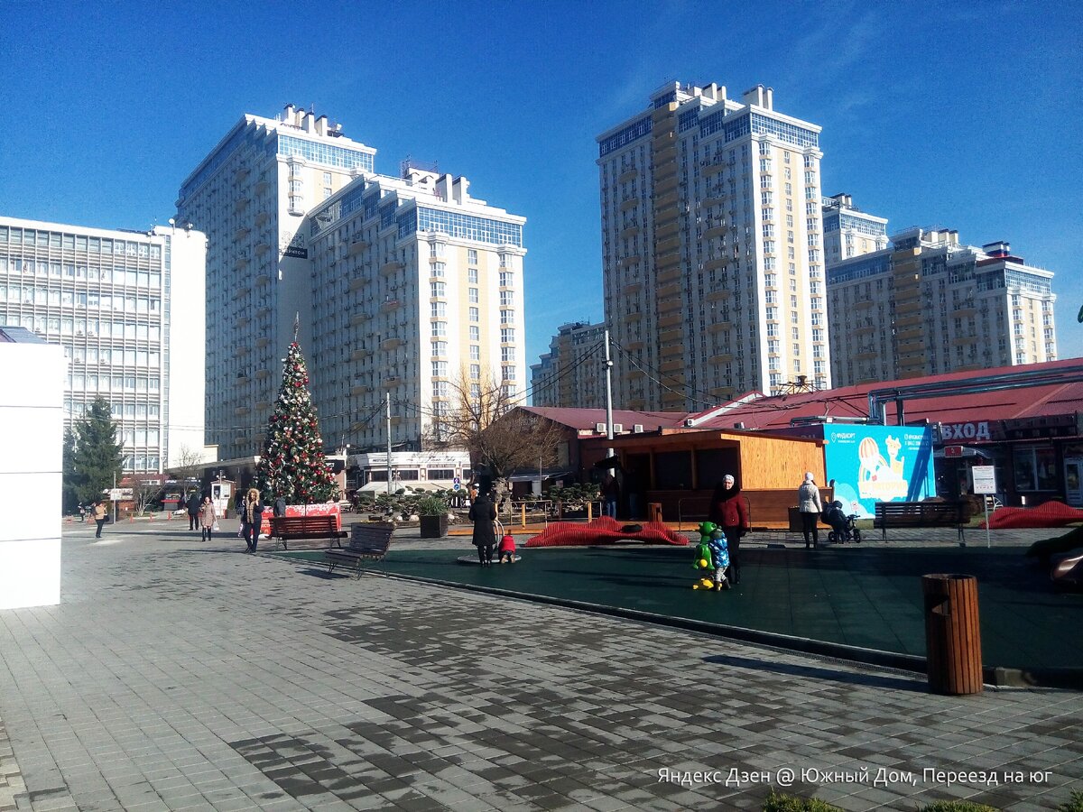 Краснодар зимой. Центр города