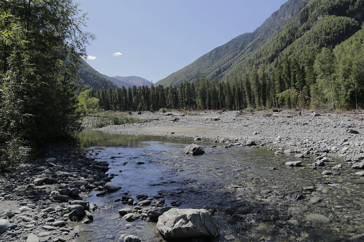 Фото из открытых источников