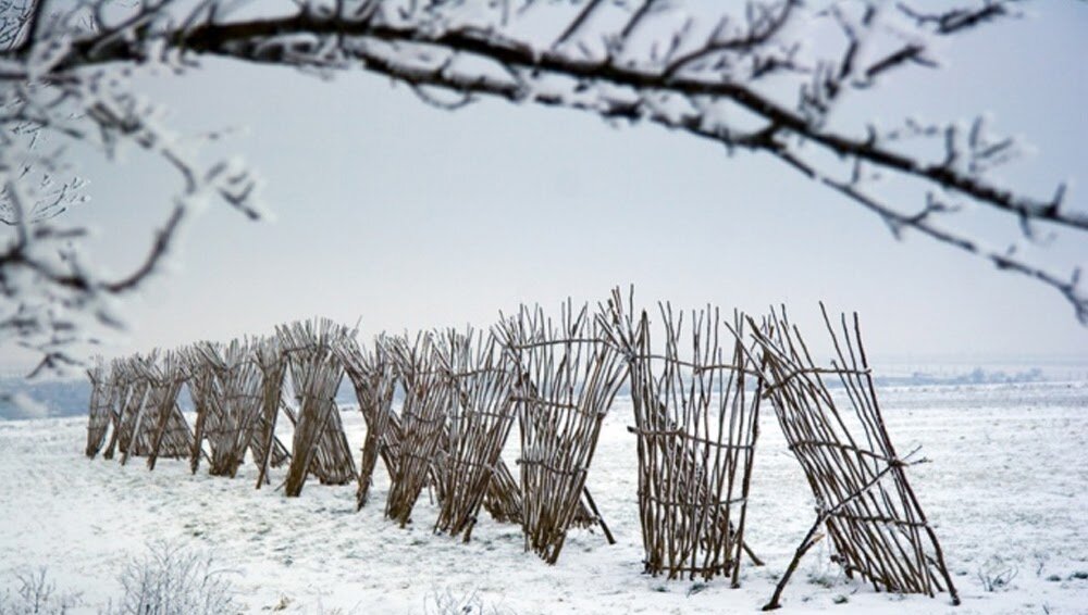 Снег на ветках деревьев - 56 фото